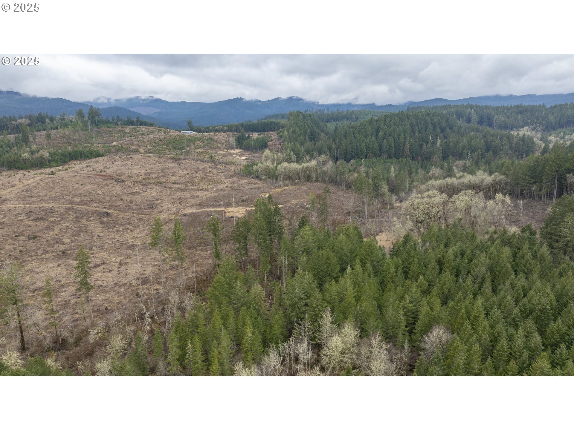 0 Northwest Panther Creek Road Yamhill, OR 97148 - Photo 21 of 28