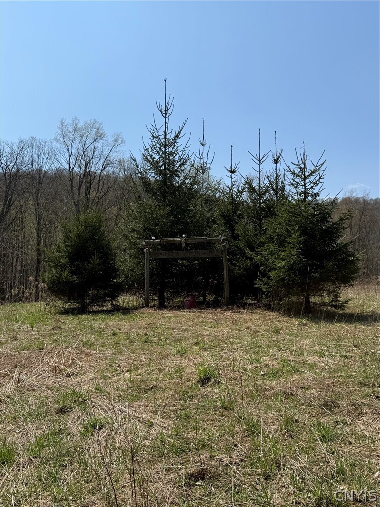 6437 West Scott Road Scott, NY 13077 - Photo 9 of 31