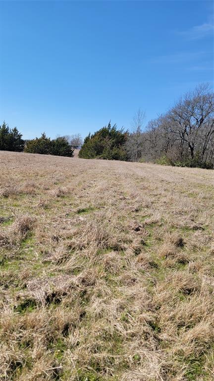 655 Ewing Road Ferris, TX 75125 - Photo 3 of 11