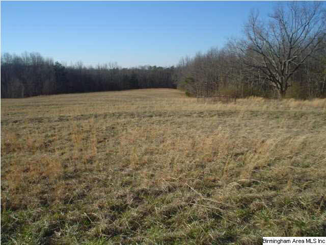 4625 Highway 24 Springville Al Springville, AL 35146 - Photo 19 of 29