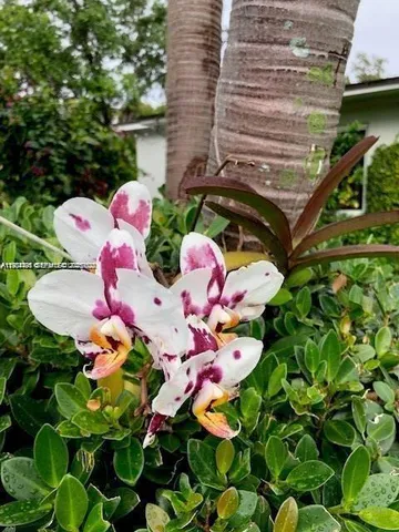 $3,950 | 274 Northwest 92nd Street, Miami Shores, FL 33150