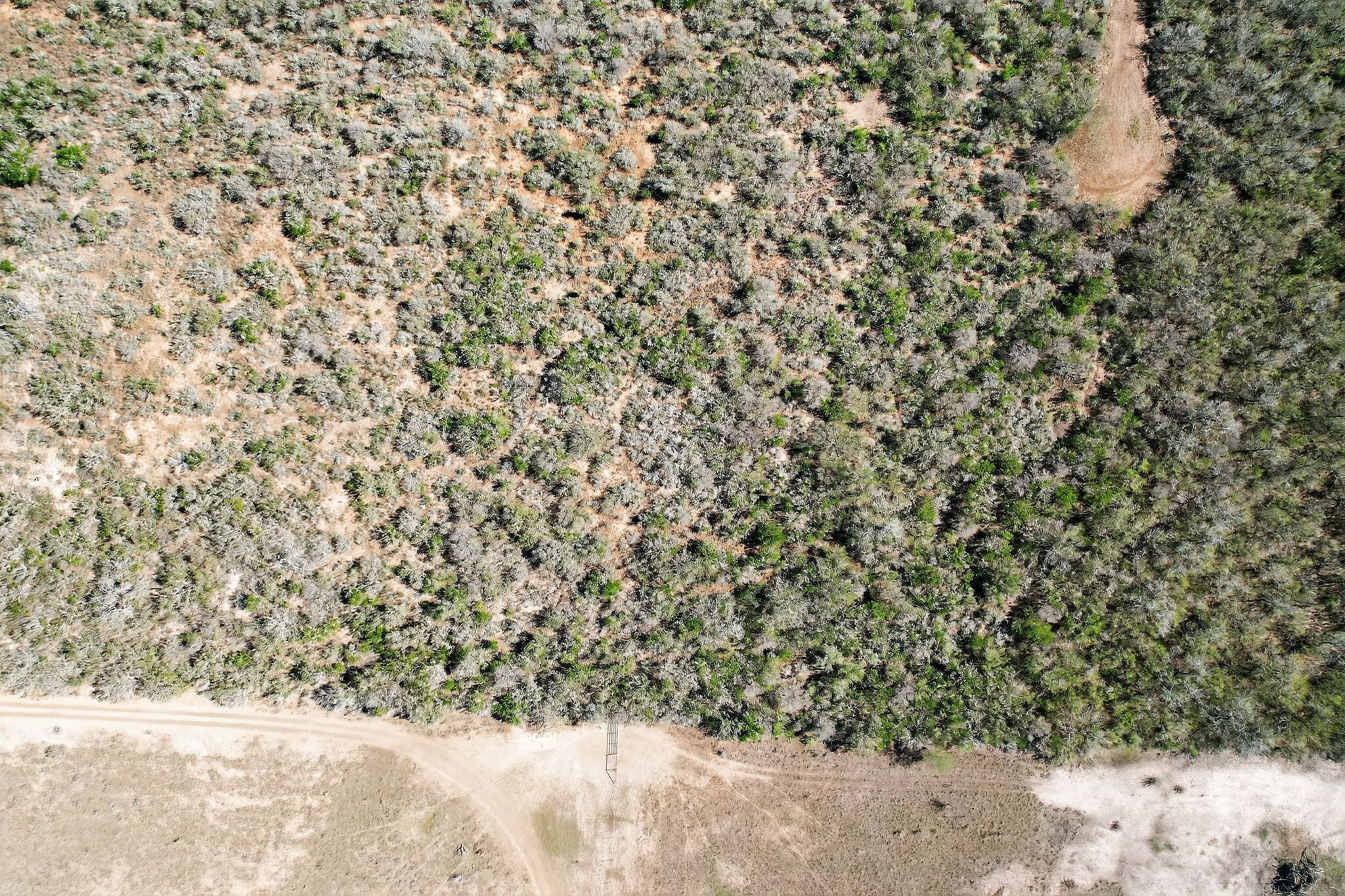 0 North Highway 281 Alice, TX 78332 - Photo 11 of 17 Aerial view of property's location