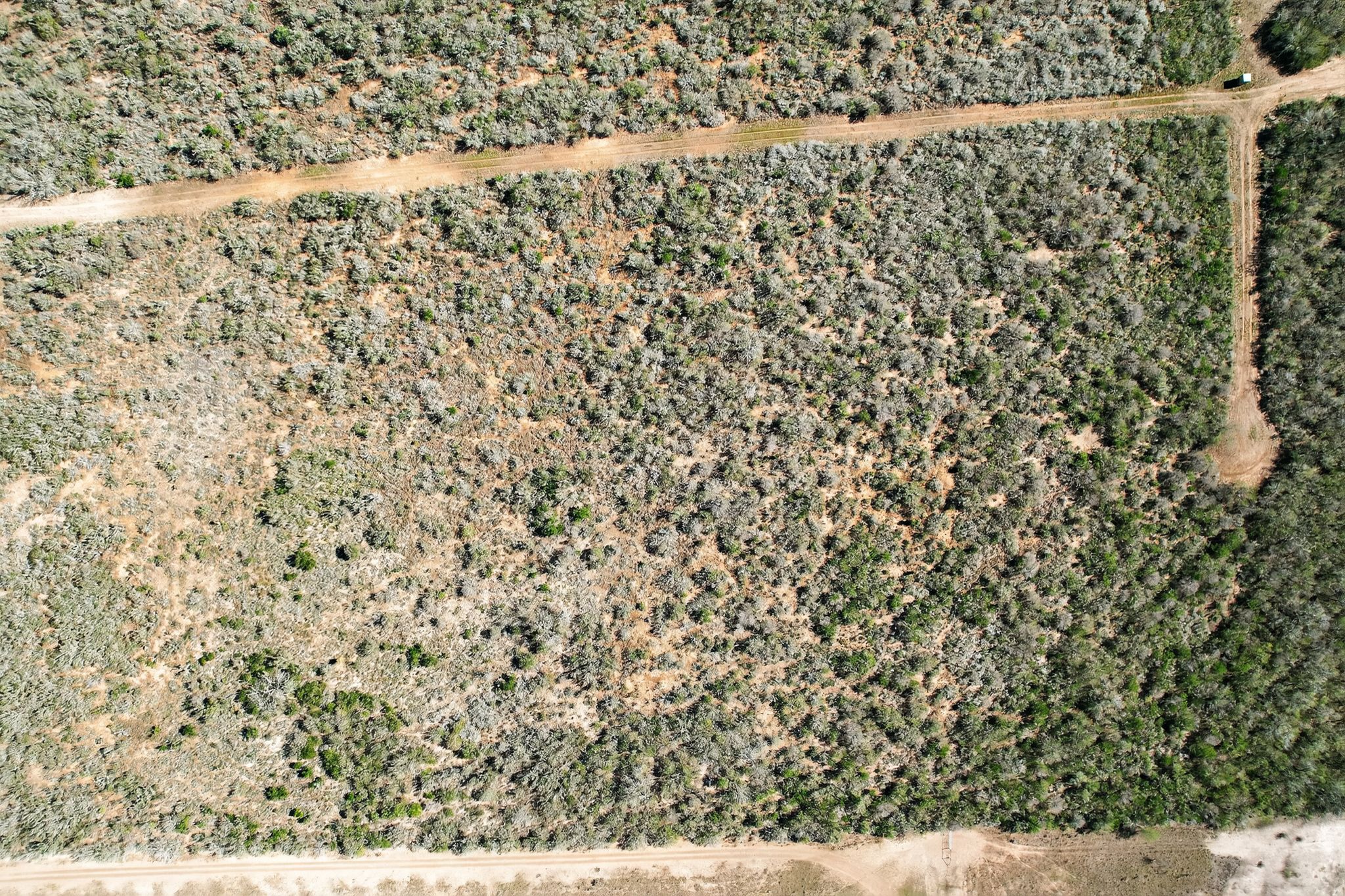 0 North Highway 281 Alice, TX 78332 - Photo 3 of 17 Aerial view of property and surrounding area
