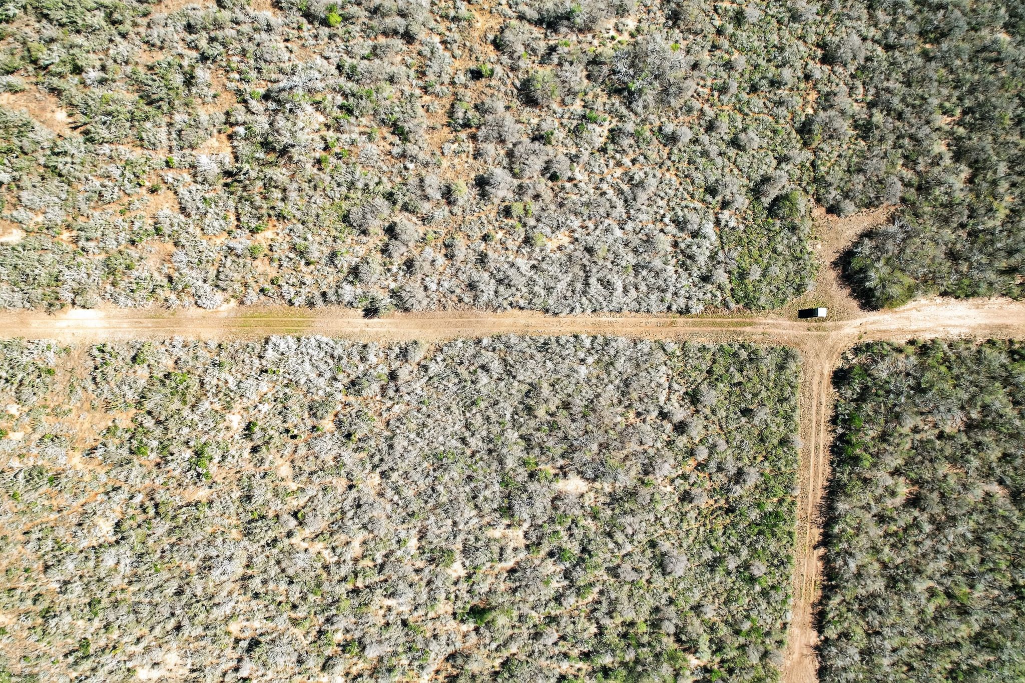 0 North Highway 281 Alice, TX 78332 - Photo 4 of 17 Aerial view of property and surrounding area
