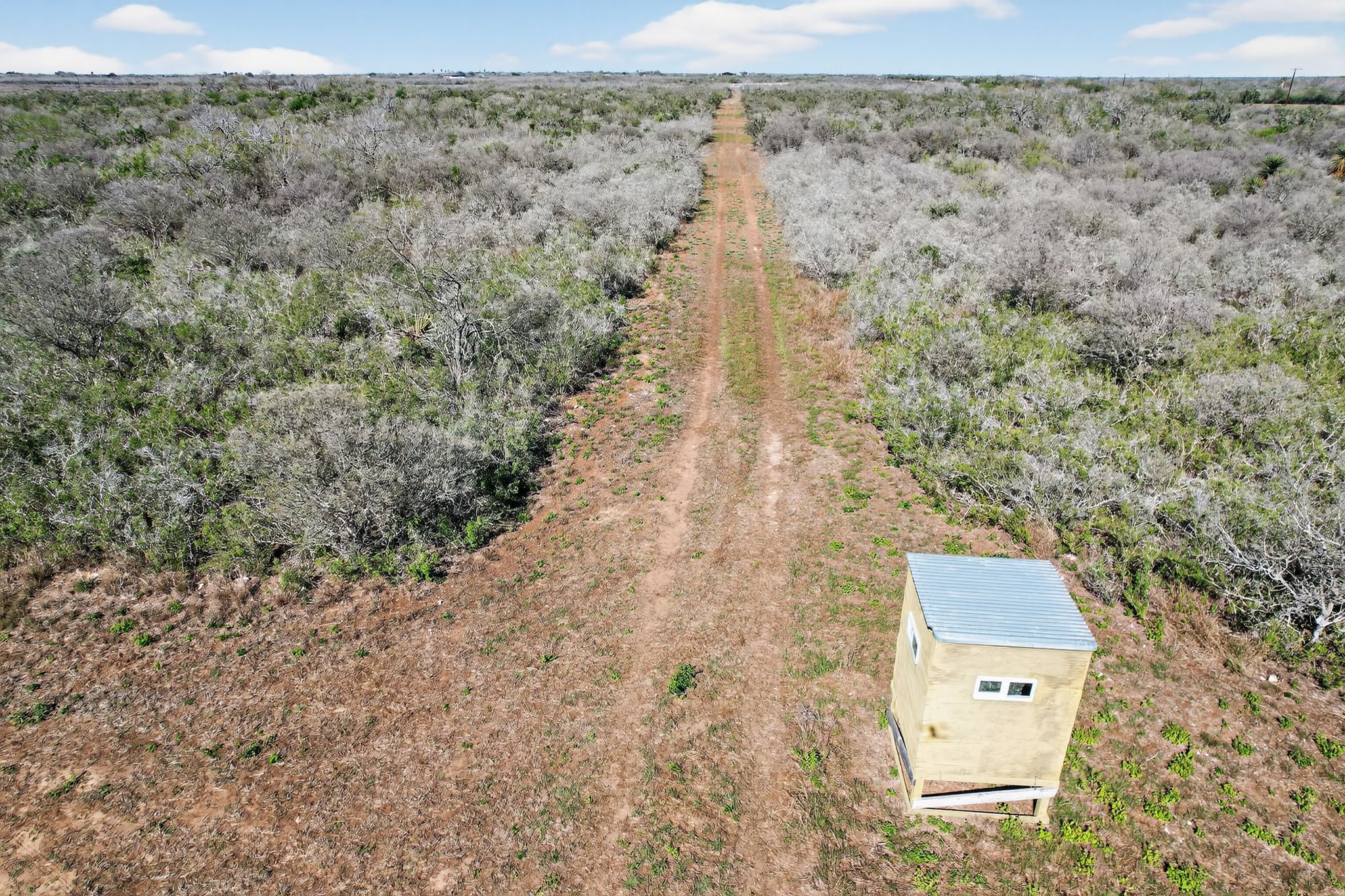 0 North Highway 281 Alice, TX 78332 - Photo 6 of 17 Aerial view of sparsely populated area featuring abundant farmland