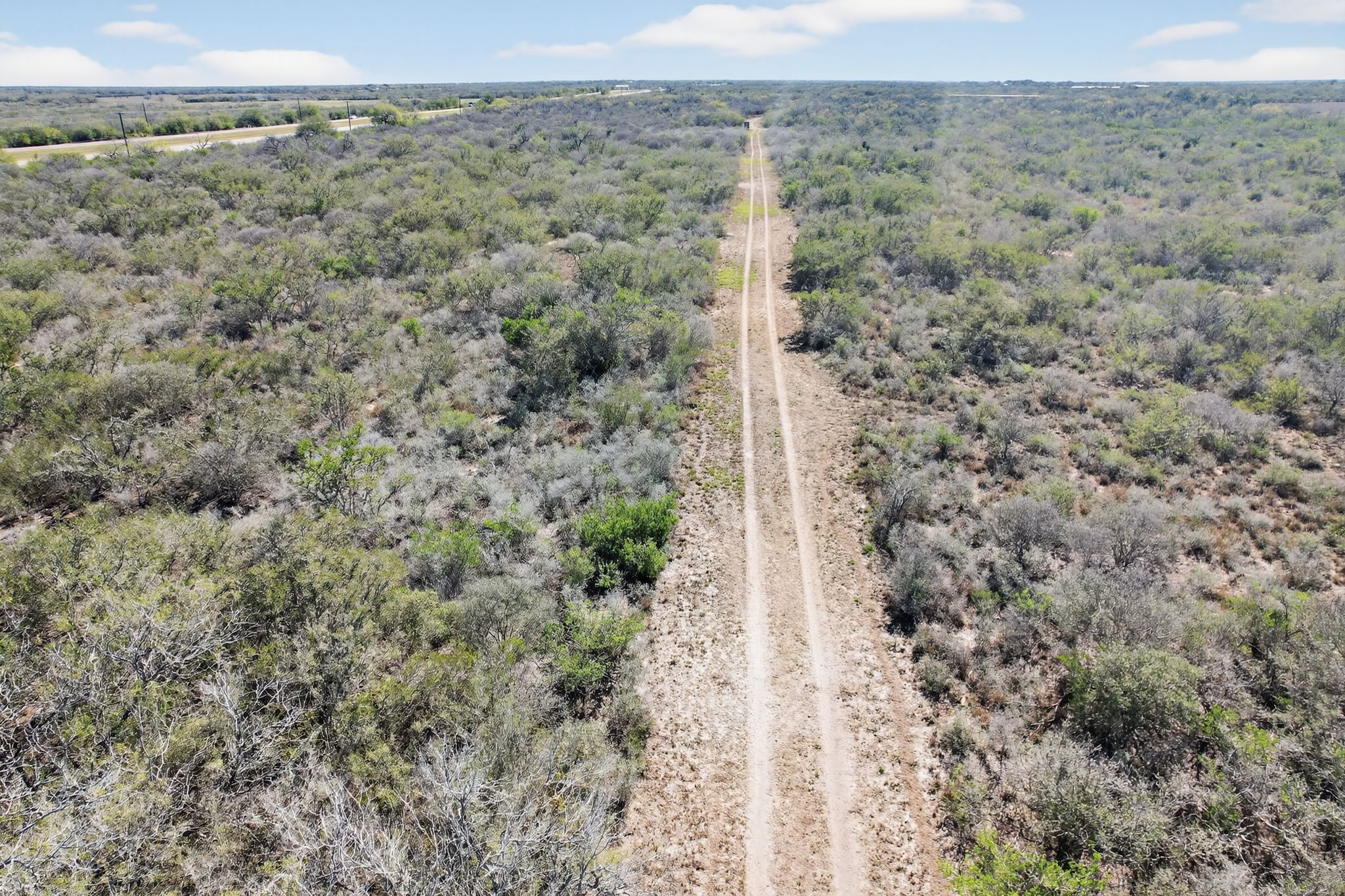 0 North Highway 281 Alice, TX 78332 - Photo 7 of 17 View of property location featuring a heavily wooded area