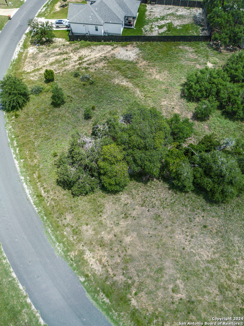 204 Hiram Cook Blanco, TX 78606 - Photo 7 of 15 a view of a green yard with large trees