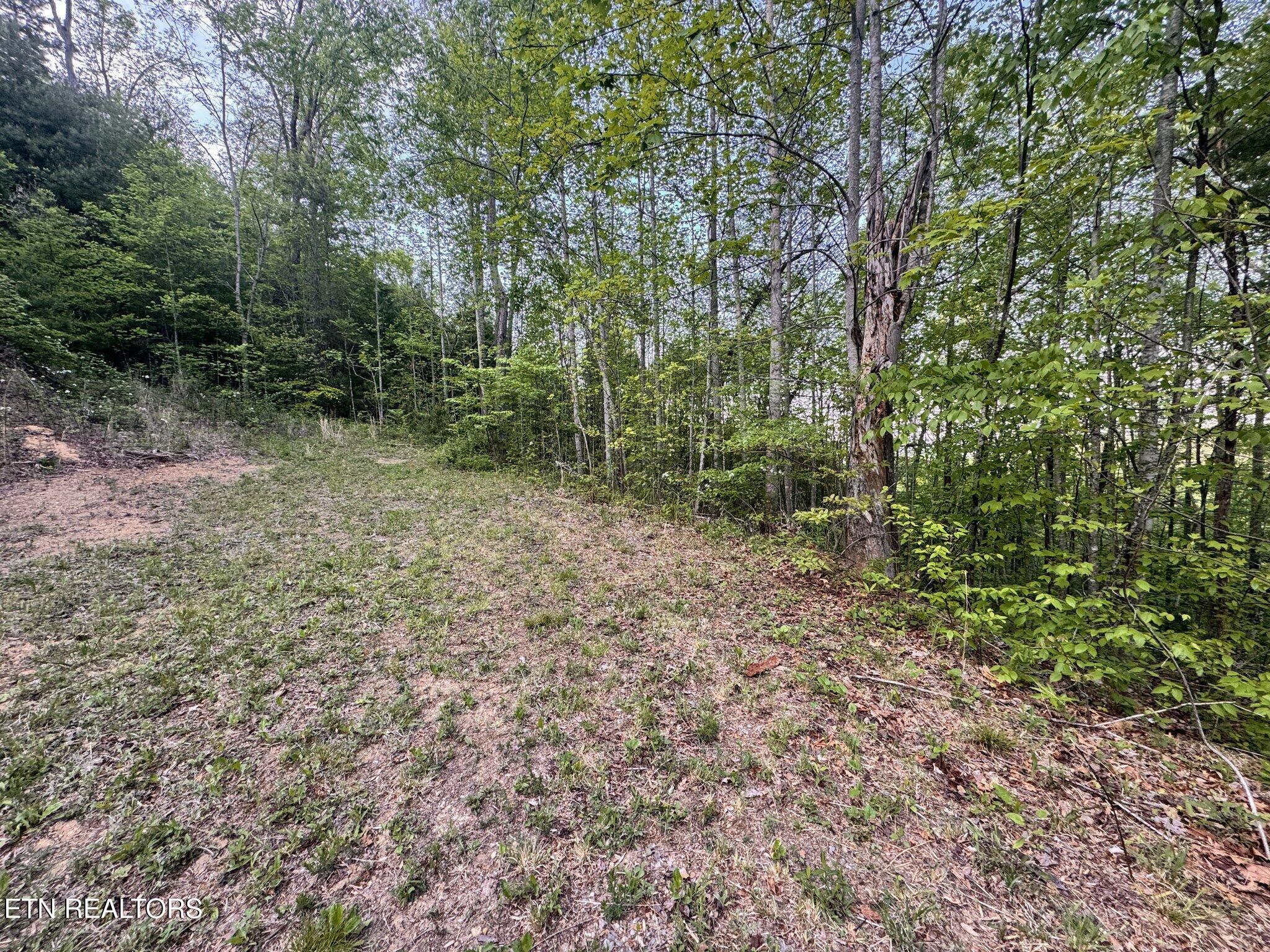 Lot 41 Black Maple Way Del Rio, TN 37727 - Photo 19 of 23 Black Maple House Site