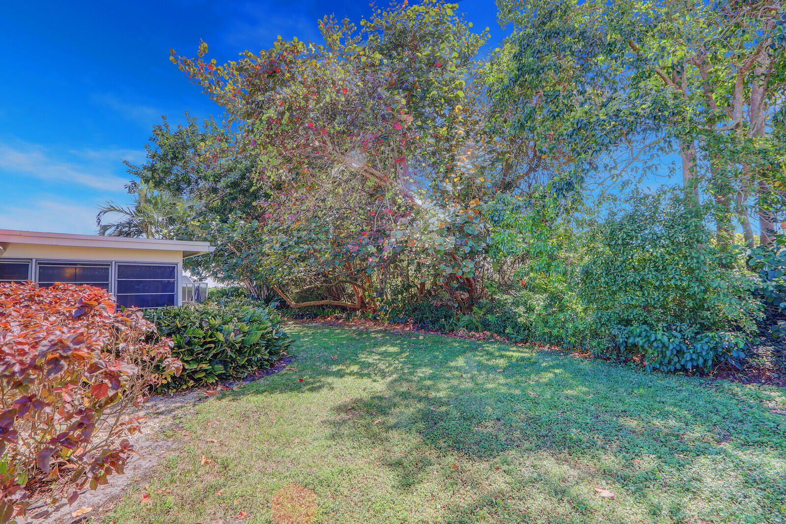 8574 Southeast Seagrape Way Hobe Sound, FL 33455 - Photo 37 of 38 a view of a backyard with potted plants and large trees