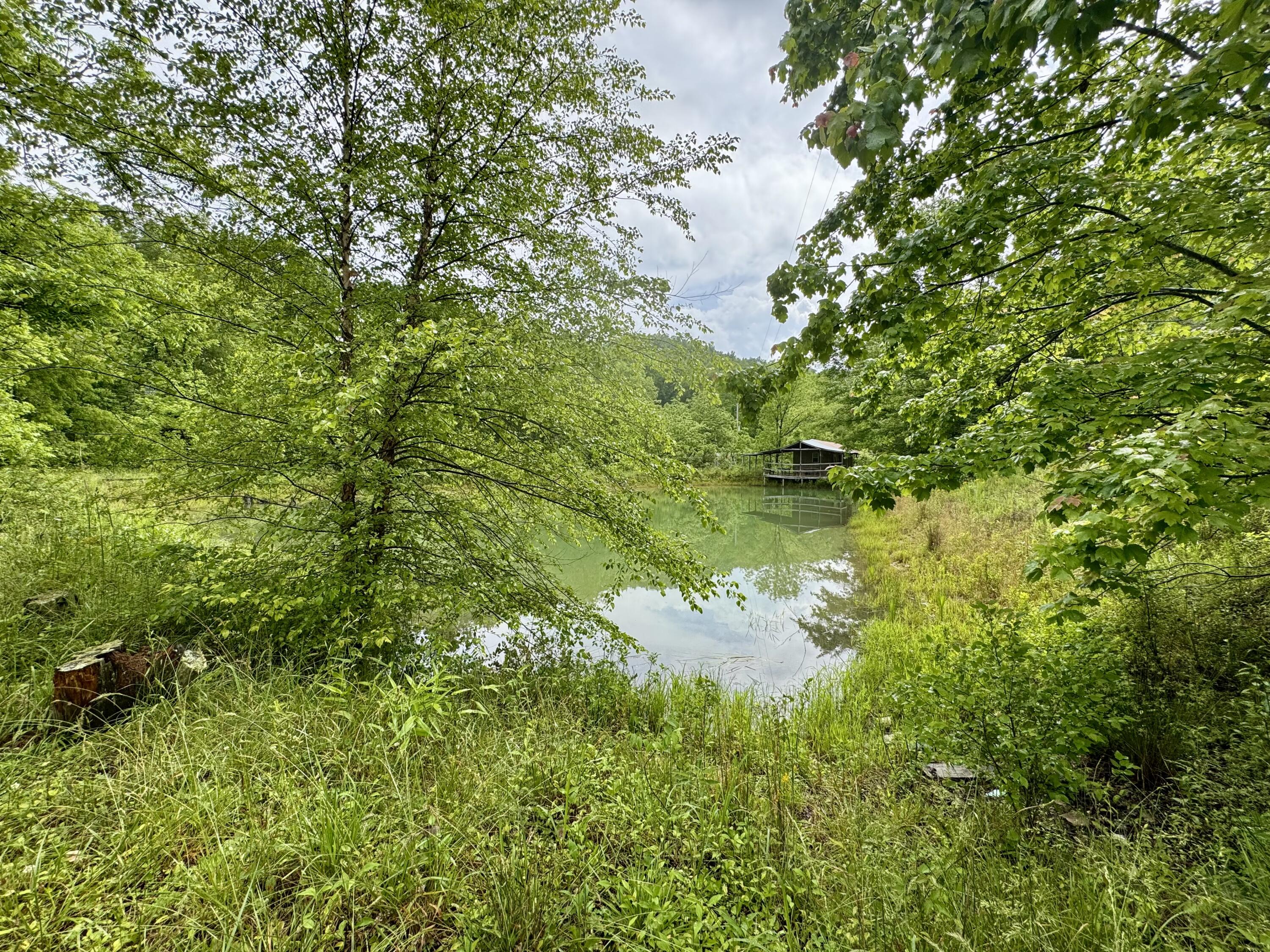 88 Mae Gumm Road Tyner, KY 40486 - Photo 36 of 37 IMG_9246