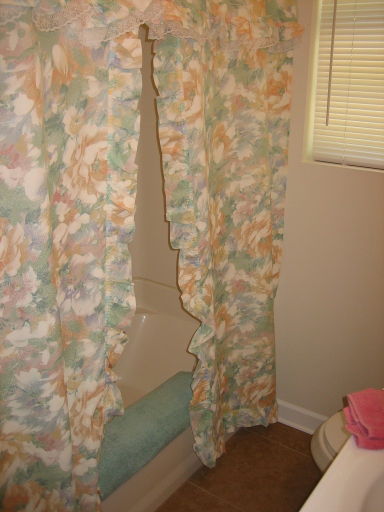 6943 Rollo Road Jacksonville, FL 32205 - Photo 11 of 13 a bathroom with a shower