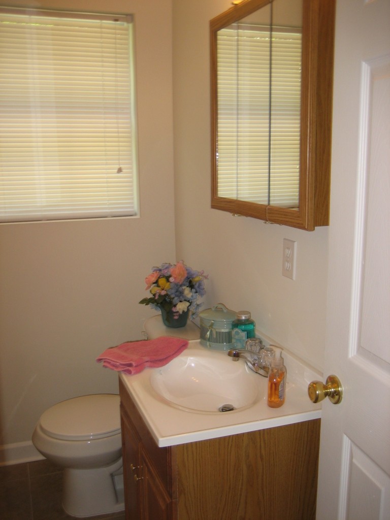 6943 Rollo Road Jacksonville, FL 32205 - Photo 10 of 13 a bathroom with a sink and a toilet