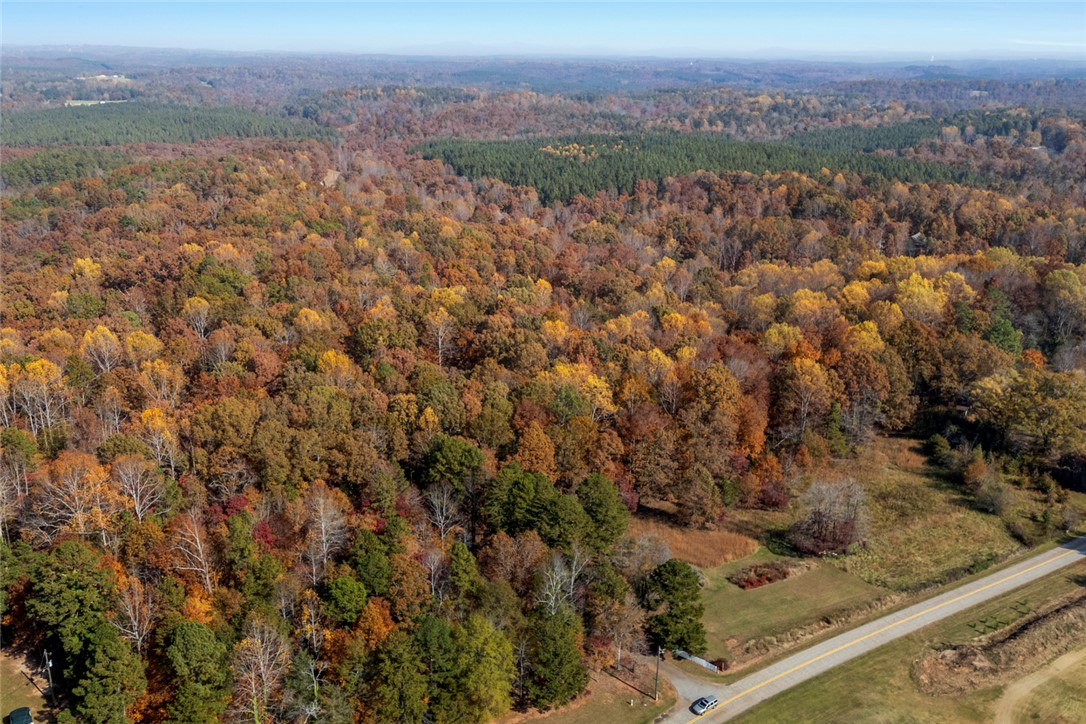 310 Falcons Nest Road Walhalla, SC 29691 - Photo 48 of 50