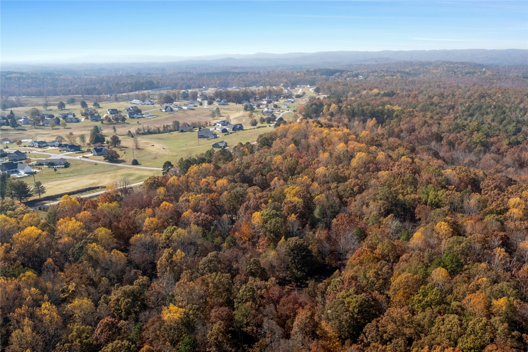 310 Falcons Nest Road Walhalla, SC 29691 - Photo 49 of 50