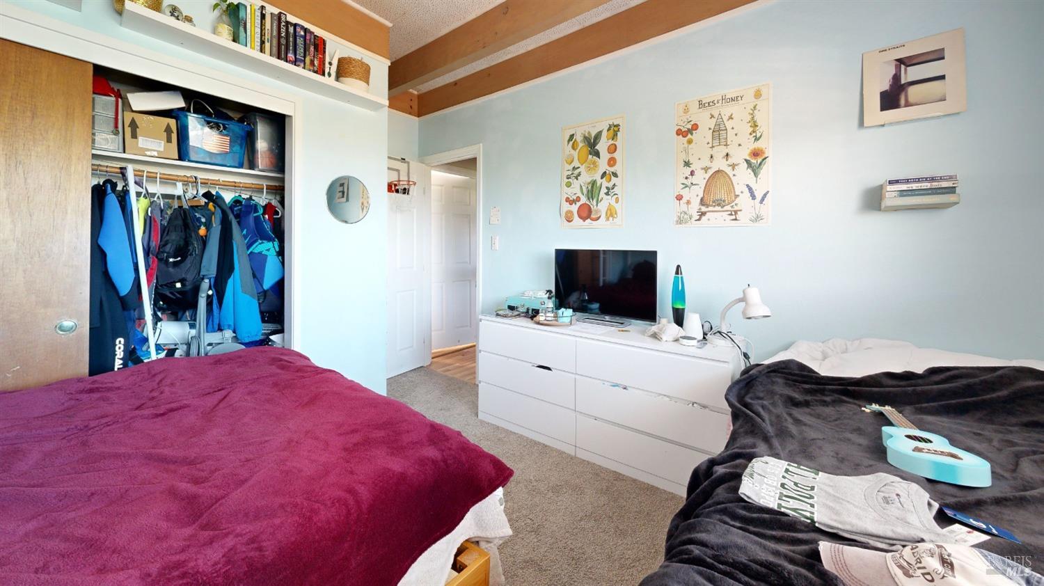 215 Picnic Avenue San Rafael, CA 94901 - Photo 40 of 74