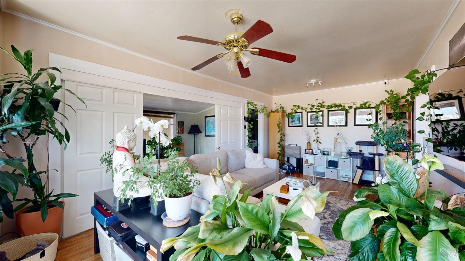 215 Picnic Avenue San Rafael, CA 94901 - Photo 47 of 74