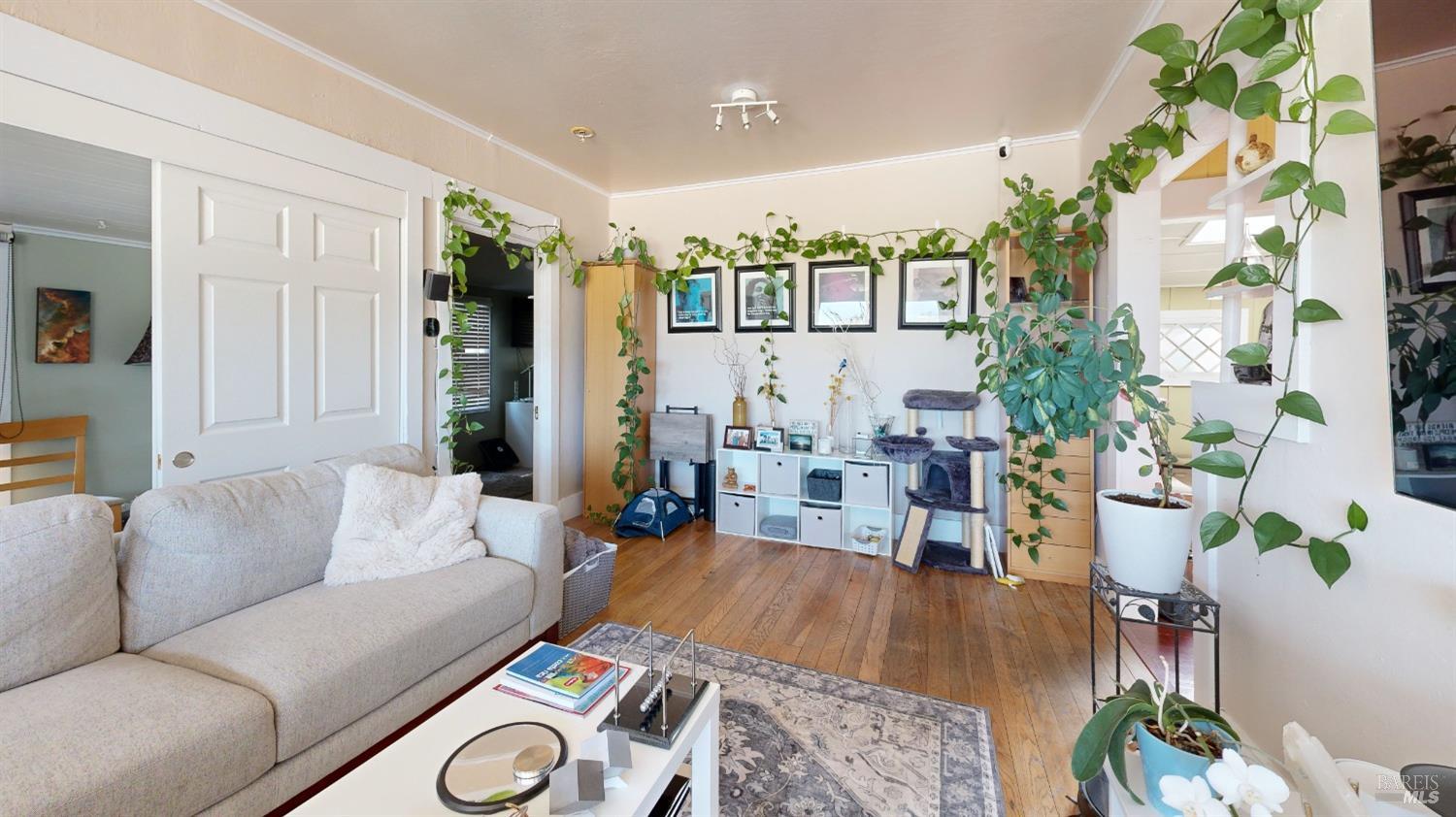 215 Picnic Avenue San Rafael, CA 94901 - Photo 49 of 74