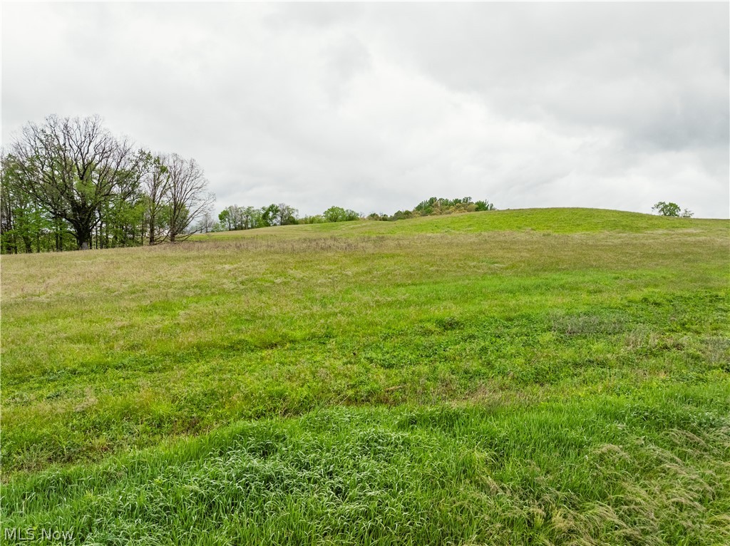 Timmerman Road Bowerston, OH 44695 - Photo 8 of 26