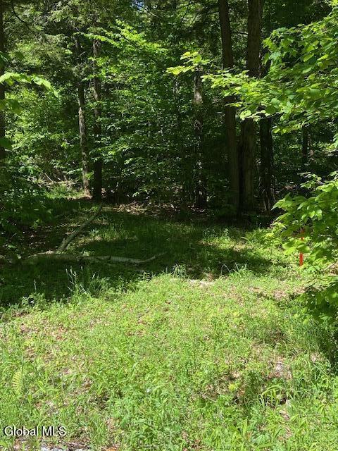 55 Fodder Road Stony Creek, NY 12878 - Photo 8 of 13 Drive from road