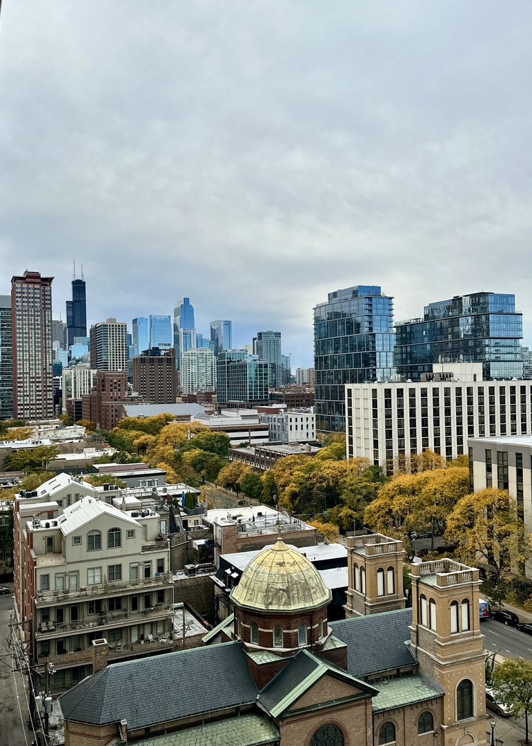 111 West Maple Street, Unit 909 Chicago, IL 60610 - Photo 15 of 23