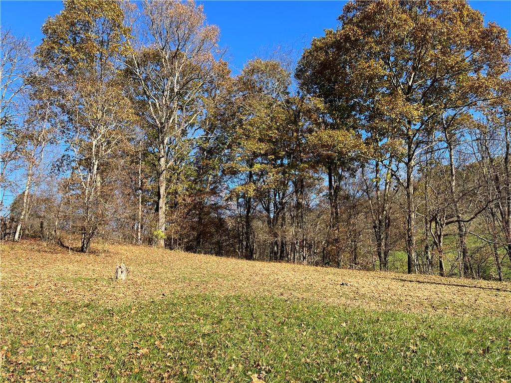 700 Big Shannon Run Road Mount Morris, PA 15349 - Photo 2 of 4 Gallery Image 2