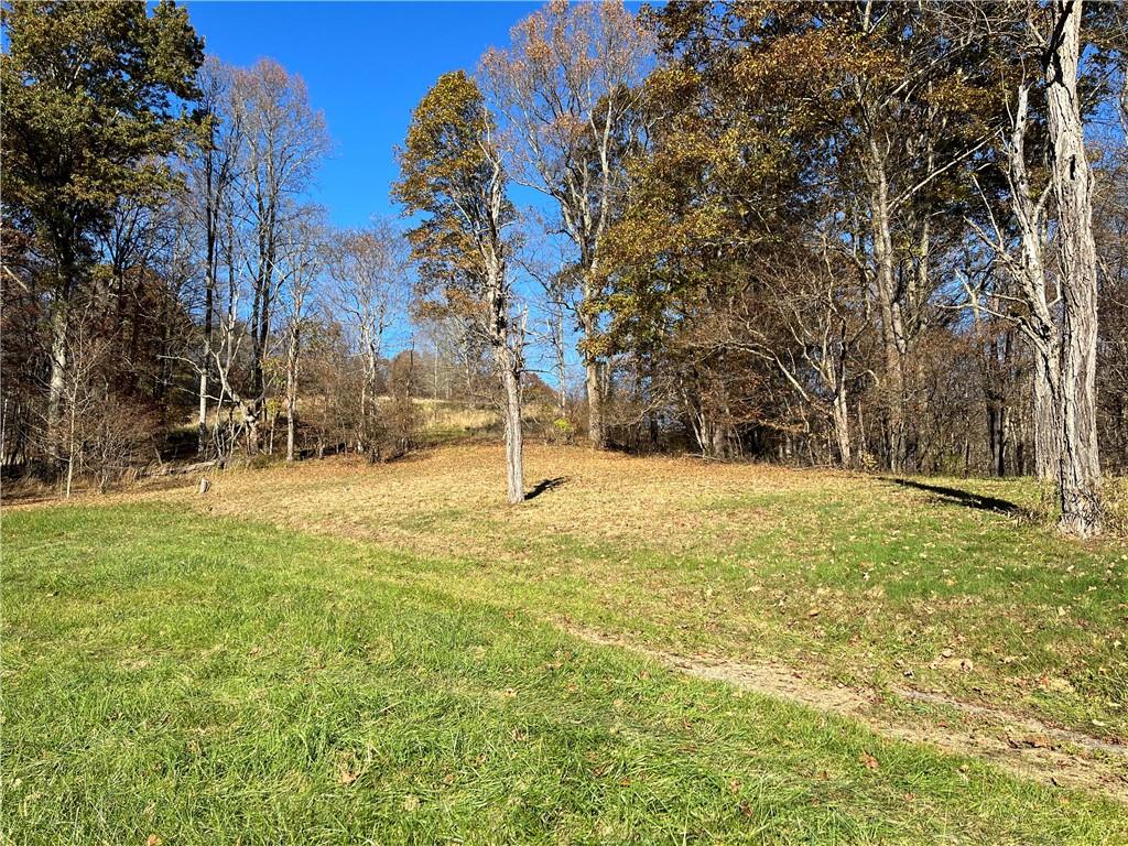 700 Big Shannon Run Road Mount Morris, PA 15349 - Photo 3 of 4 Gallery Image 3