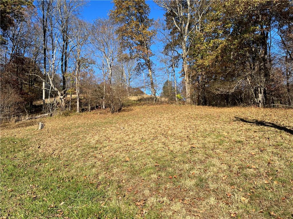 700 Big Shannon Run Road Mount Morris, PA 15349 - Photo 4 of 4 Gallery Image 4