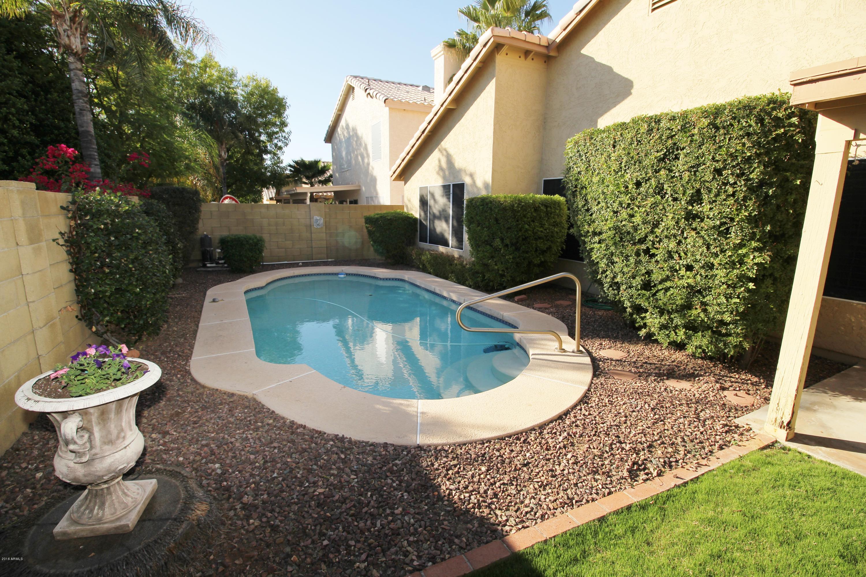 3563 East Utopia Road Phoenix, AZ 85050 - Photo 14 of 15 13-3563 E Utopia Backyard