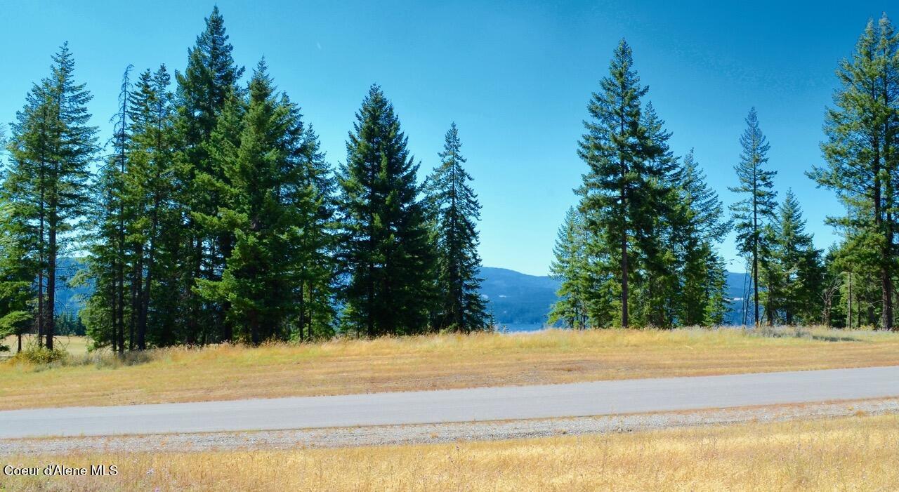 L1-b2 South Wailea Road Harrison, ID 83833 - Photo 2 of 5 DSC_2205