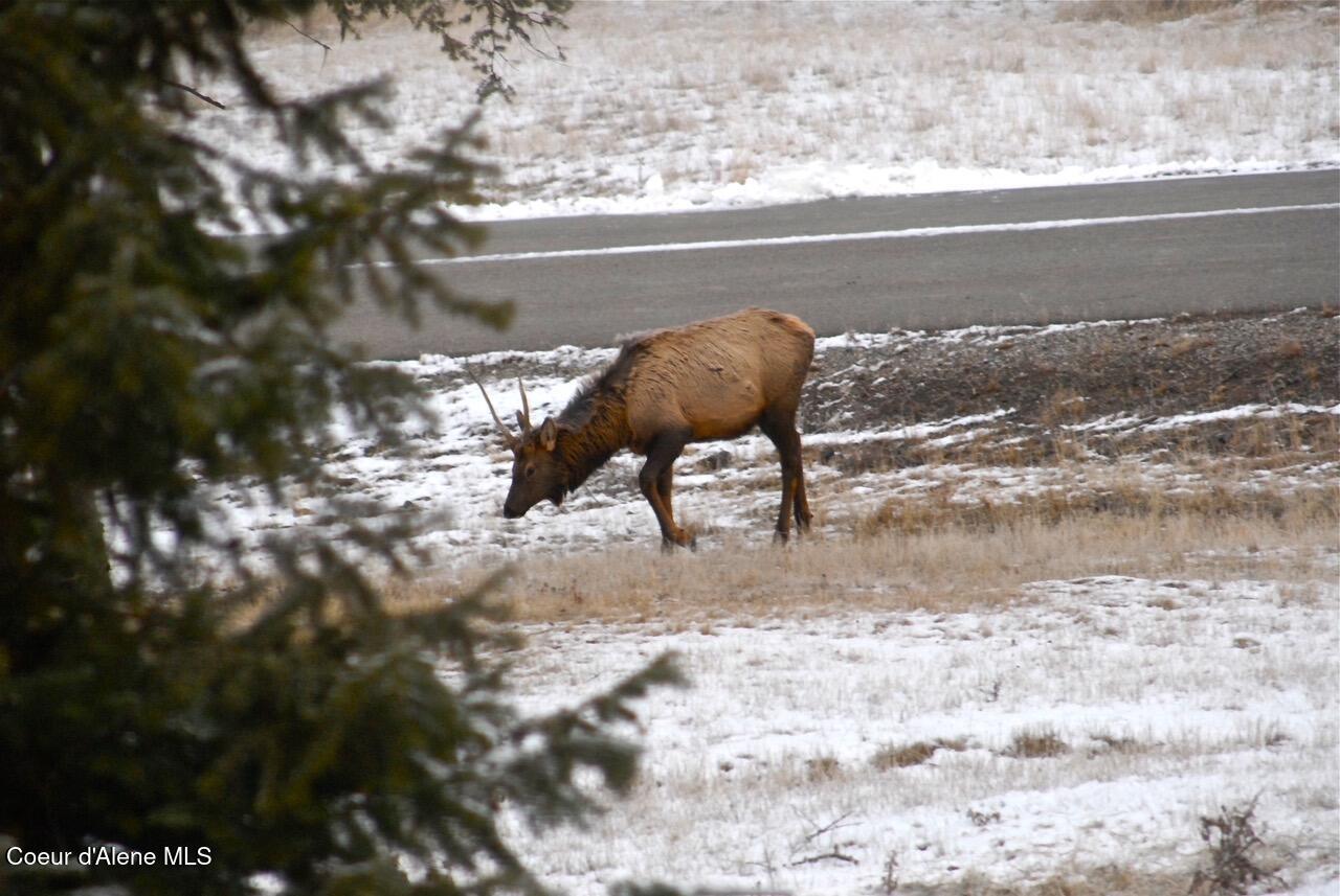 L1-b2 South Wailea Road Harrison, ID 83833 - Photo 3 of 5 DSC_0048
