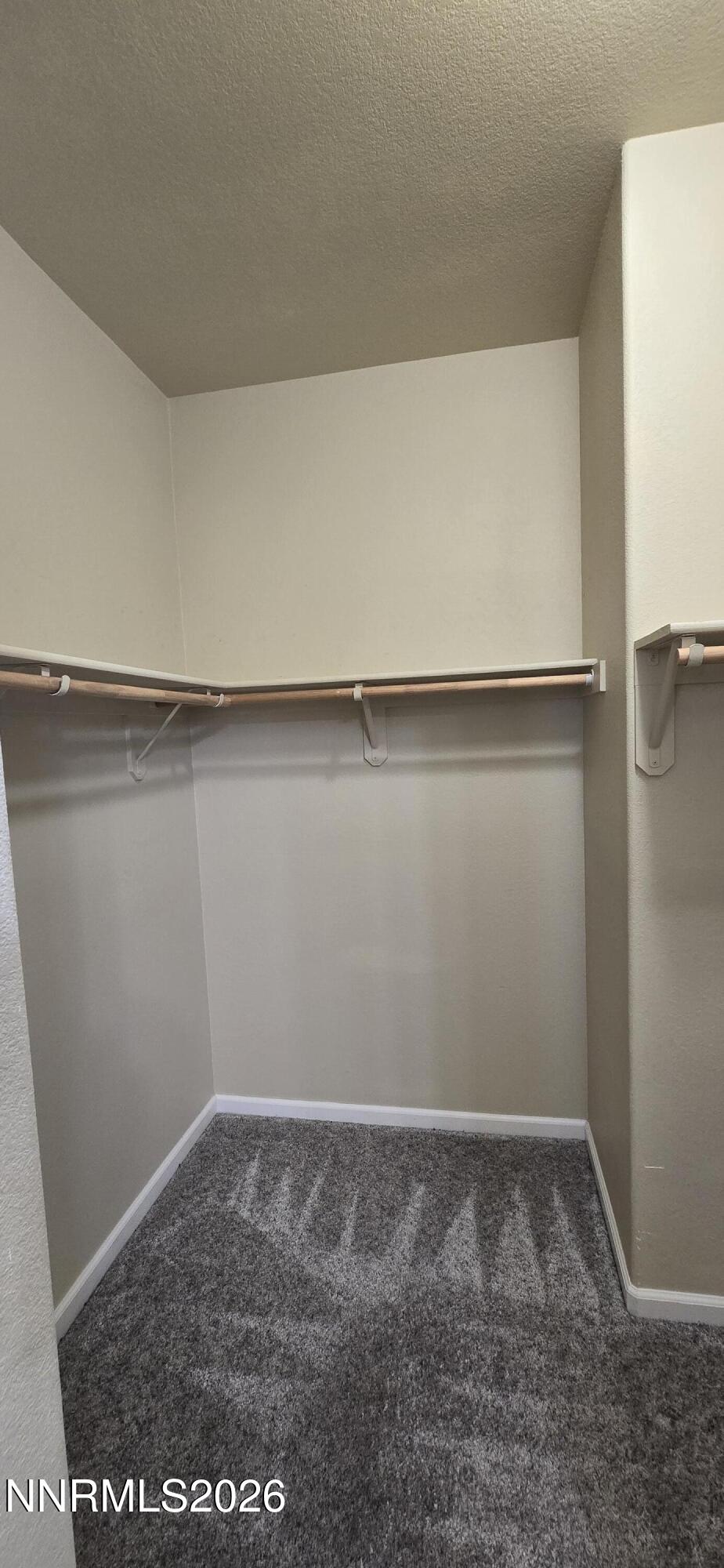 10210 Robilee Drive Reno, NV 89521 - Photo 29 of 56 Primary Closet 2