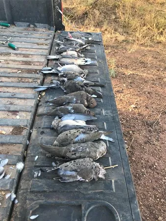 $975,000 | 324 Pr 2621, Santa Anna, TX 76878