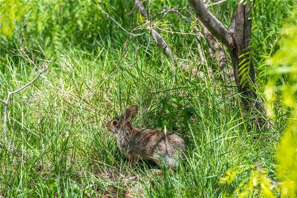 $975,000 | 324 Pr 2621, Santa Anna, TX 76878