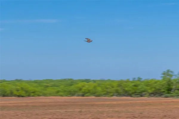 $975,000 | 324 Pr 2621, Santa Anna, TX 76878