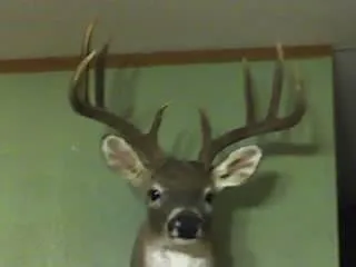 $975,000 | 324 Pr 2621, Santa Anna, TX 76878