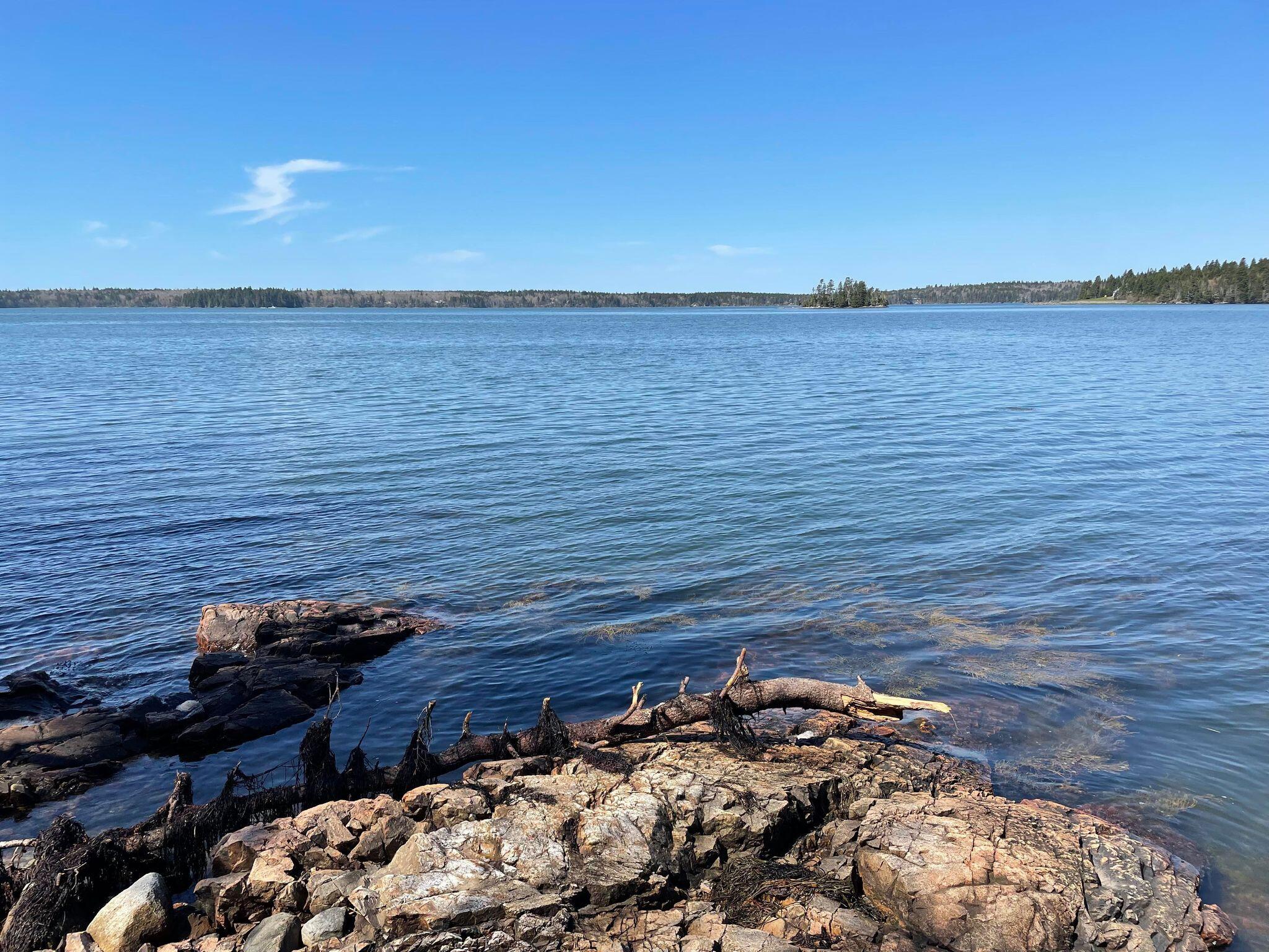 76 Collins Cove Road Machiasport, ME 04655 - Photo 20 of 53 279385712_991488581507480_32294367608504