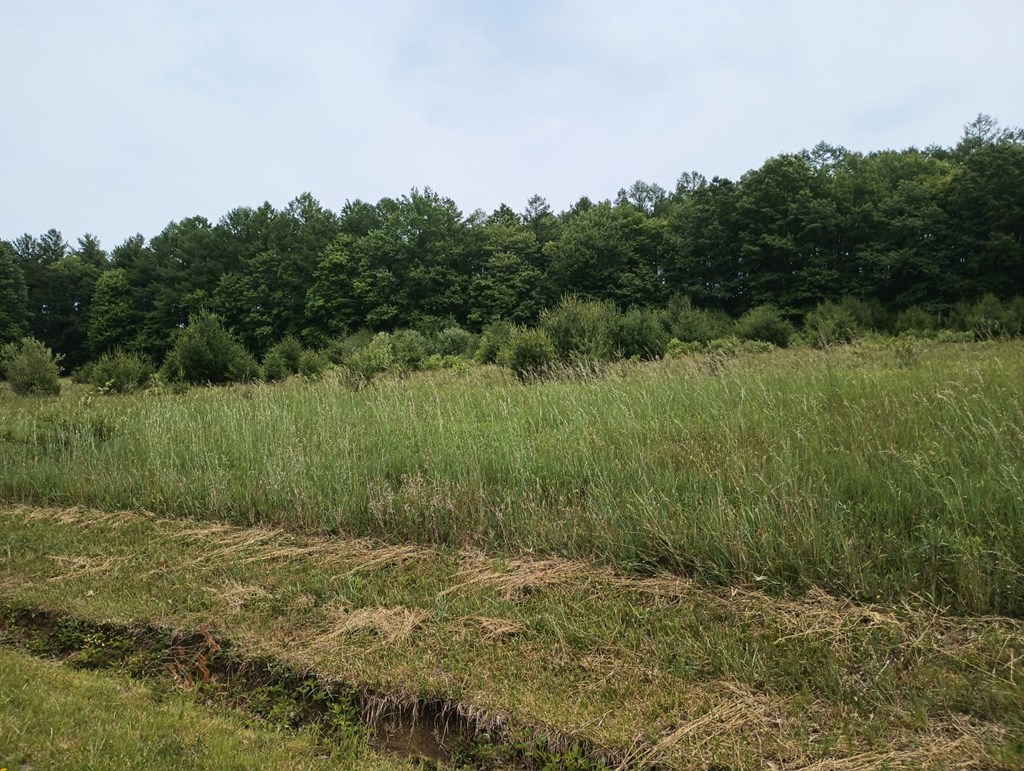 # Deer Run Road Corsica, PA 15829 - Photo 2 of 4