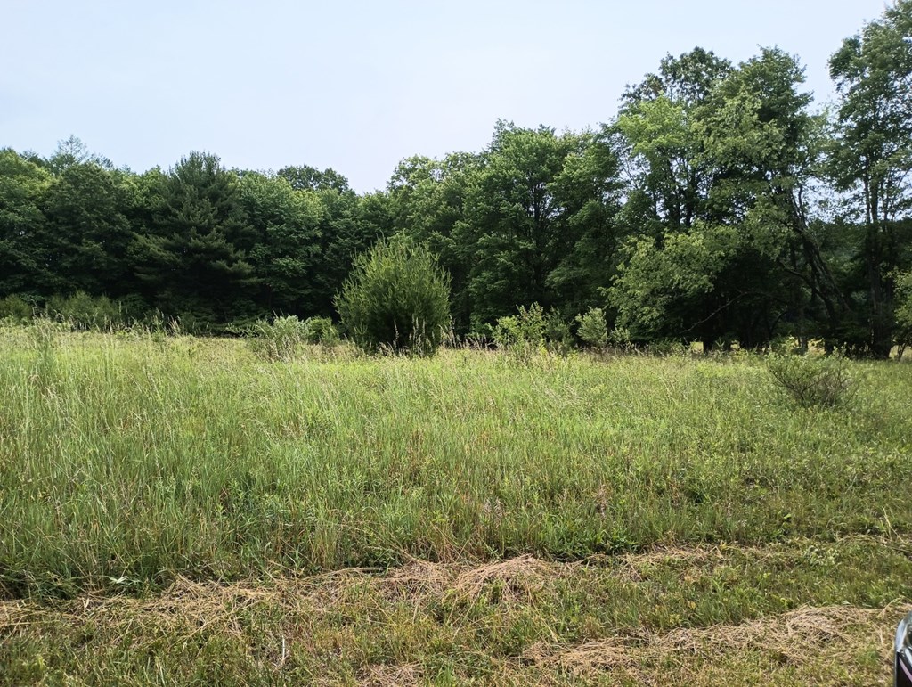 # Deer Run Road Corsica, PA 15829 - Photo 3 of 4