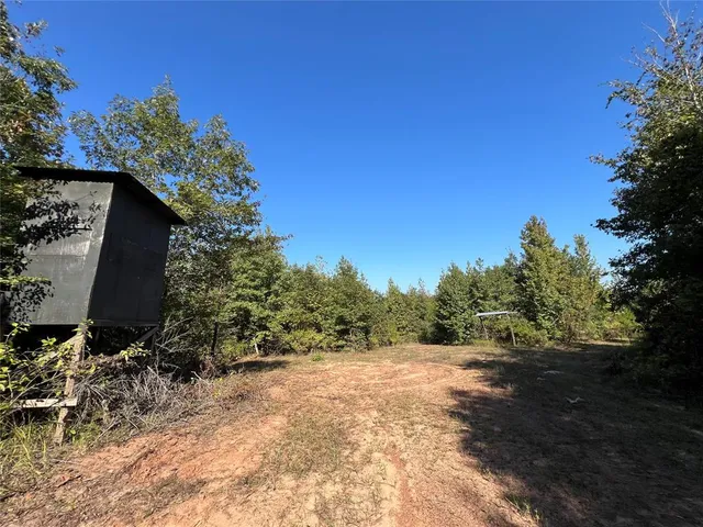 a view of backyard with green space