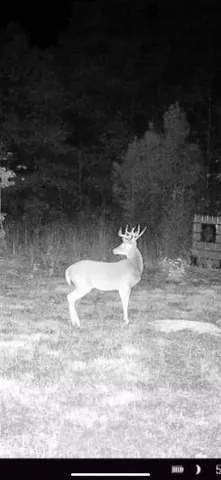 $186,235 | 1579-1 Avinger Tx 75630, Avinger, TX 75630