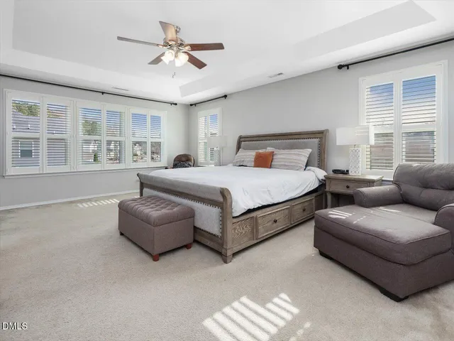 a kitchen with granite countertop cabinets and a potted plant