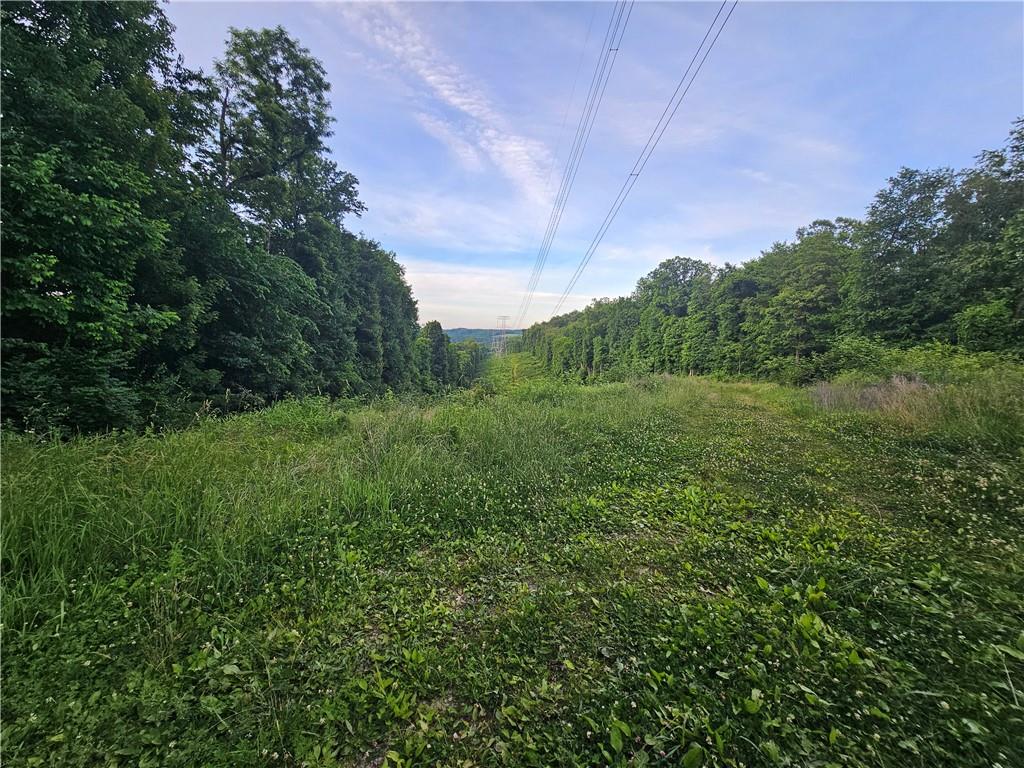0 Fallen Timber Road Avella, PA 15312 - Photo 9 of 18