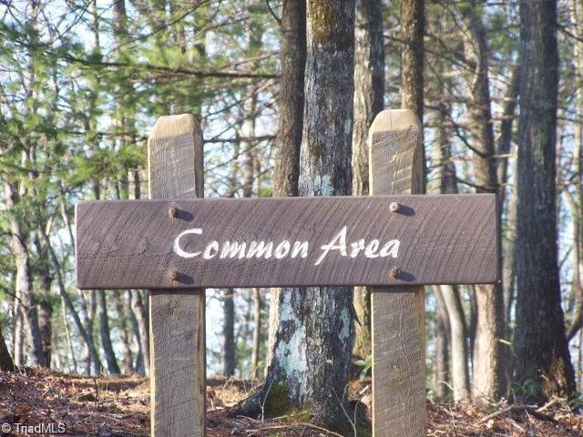 87 Sutter's Ridge Road McGrady, NC 28649 - Photo 3 of 6