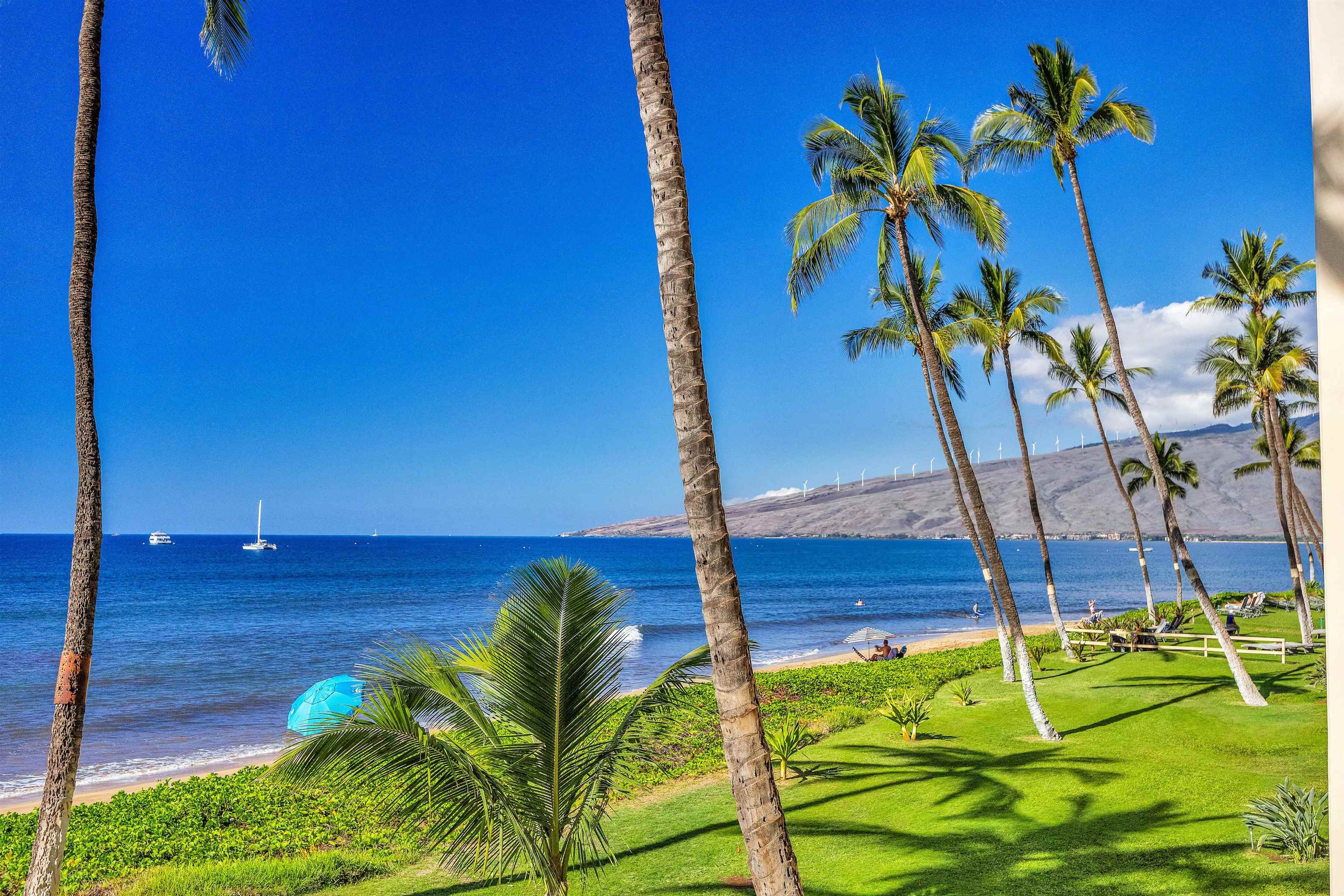 145 North Kihei Road, Unit 232 Kihei, HI 96753 - Photo 3 of 24