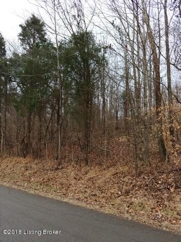 327 Dog Creek Road Caneyville, KY 42721 - Photo 4 of 5 Dog Creek2