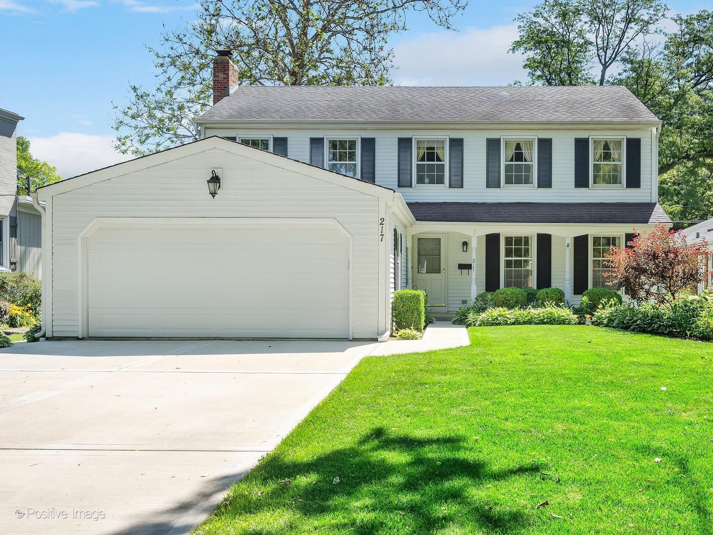 217 Rex Boulevard Elmhurst, IL 60126 - Photo 1 of 36