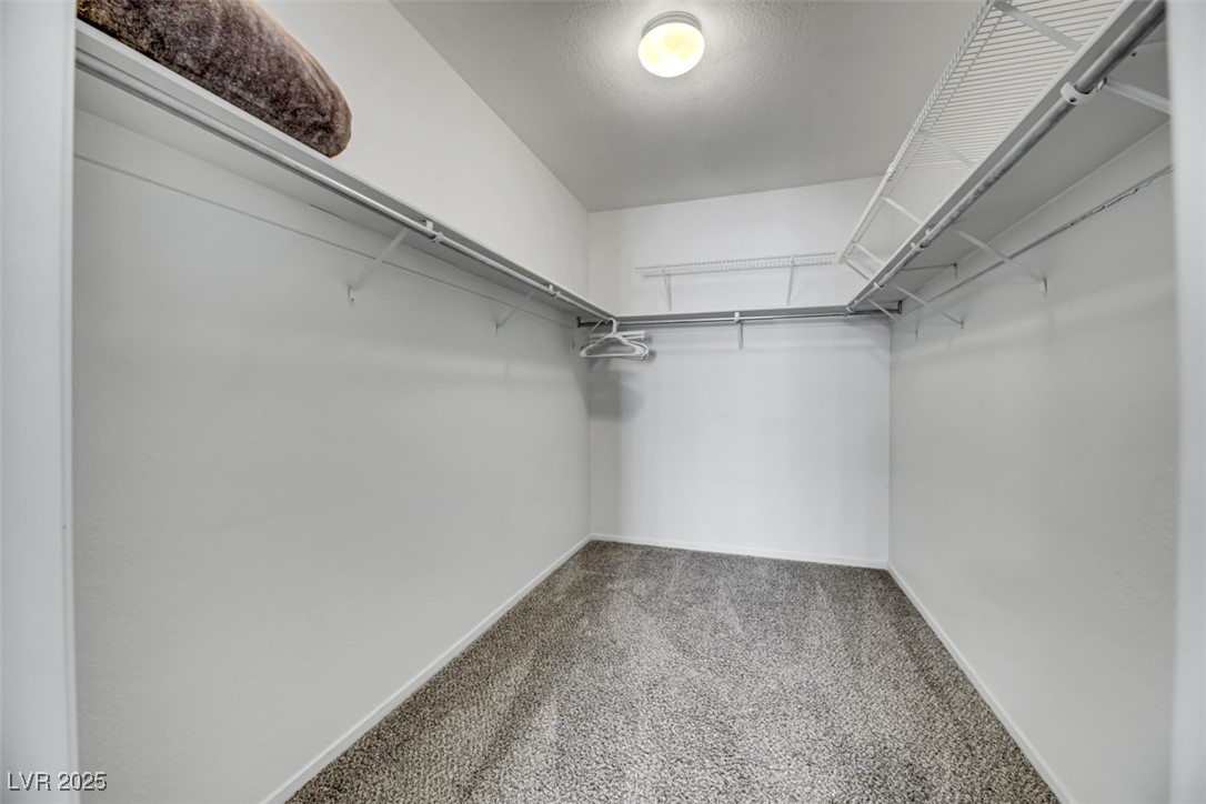 2907 Rio Sonora Court Henderson, NV 89074 - Photo 21 of 35 Walk in closet featuring light carpet