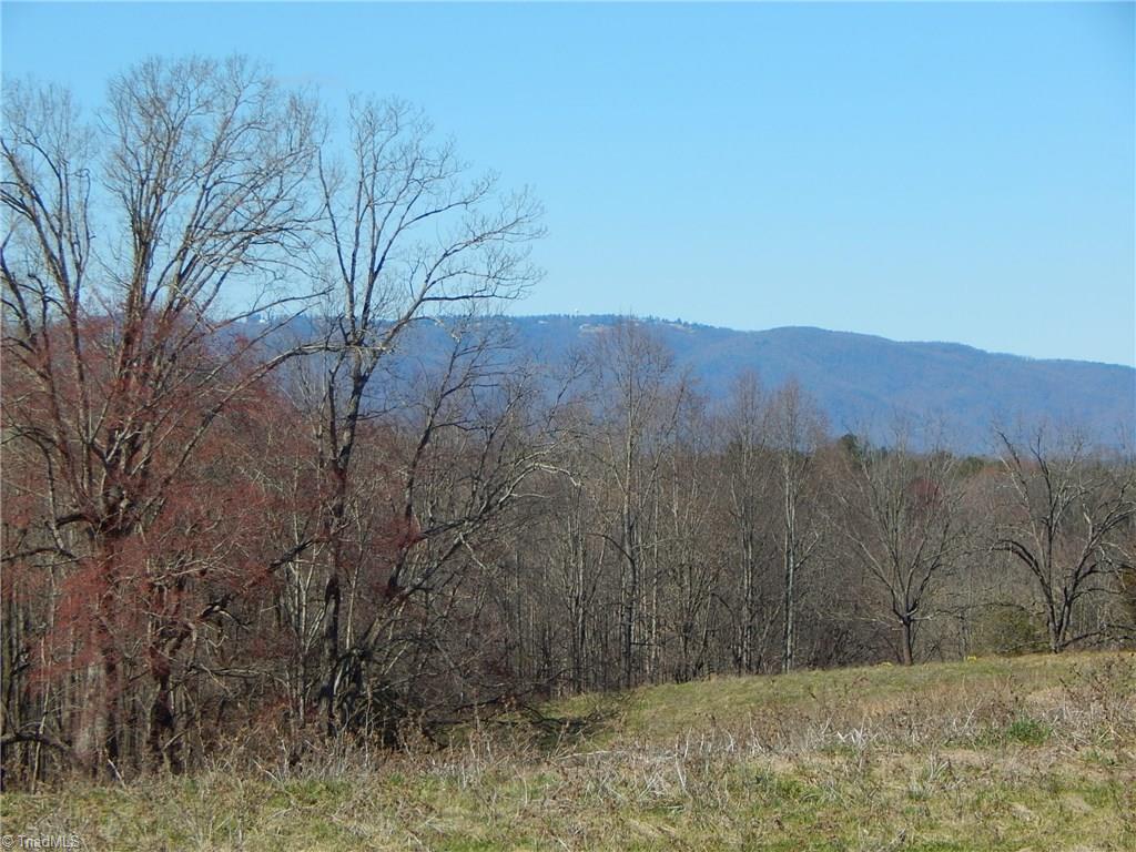 587 Cool Springs Church Road Elkin, NC 28621 - Photo 4 of 21 Gallery Image 4