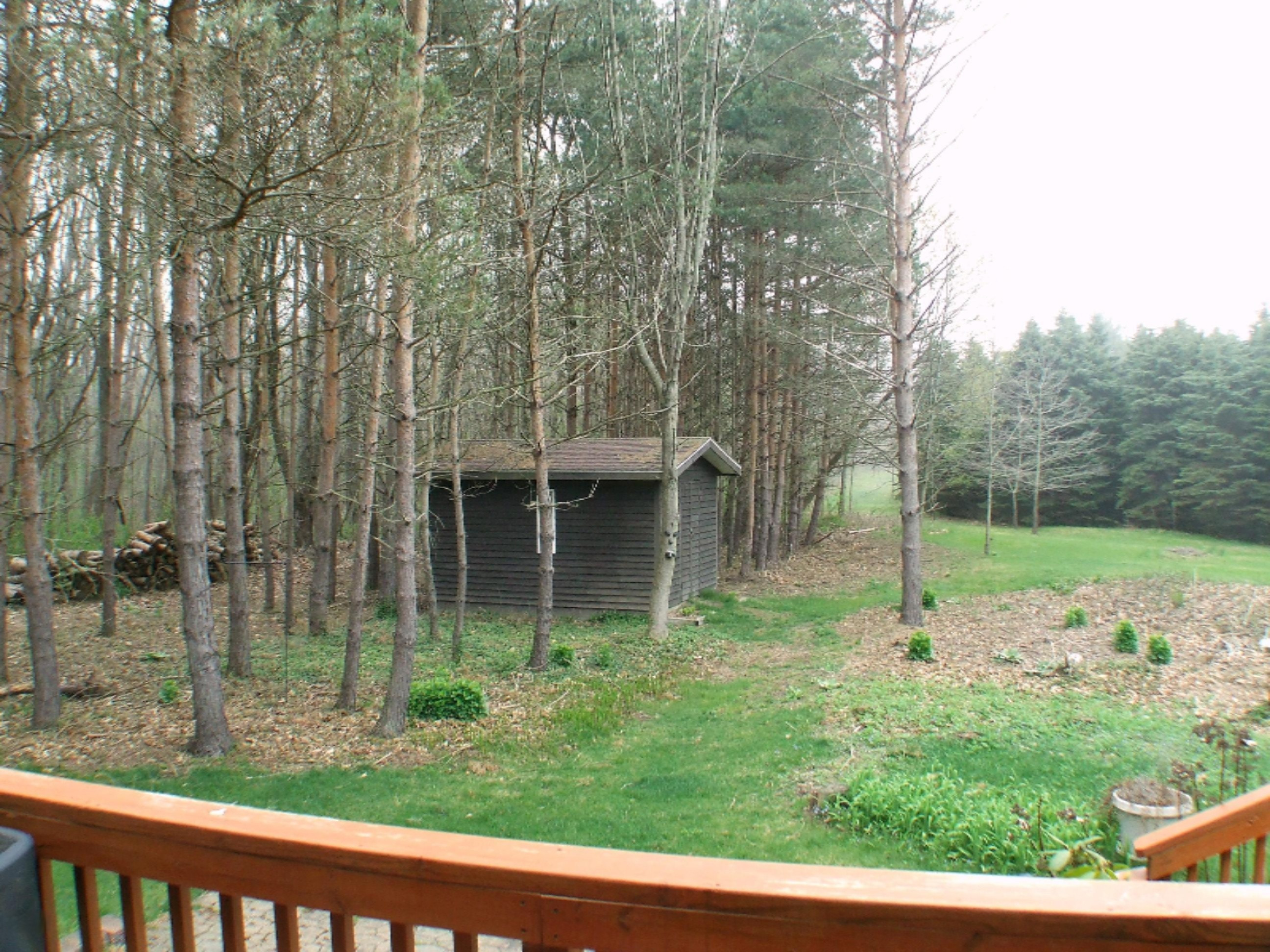 4101 Hagar Shore Road Coloma, MI 49038 - Photo 38 of 48 hagar shed