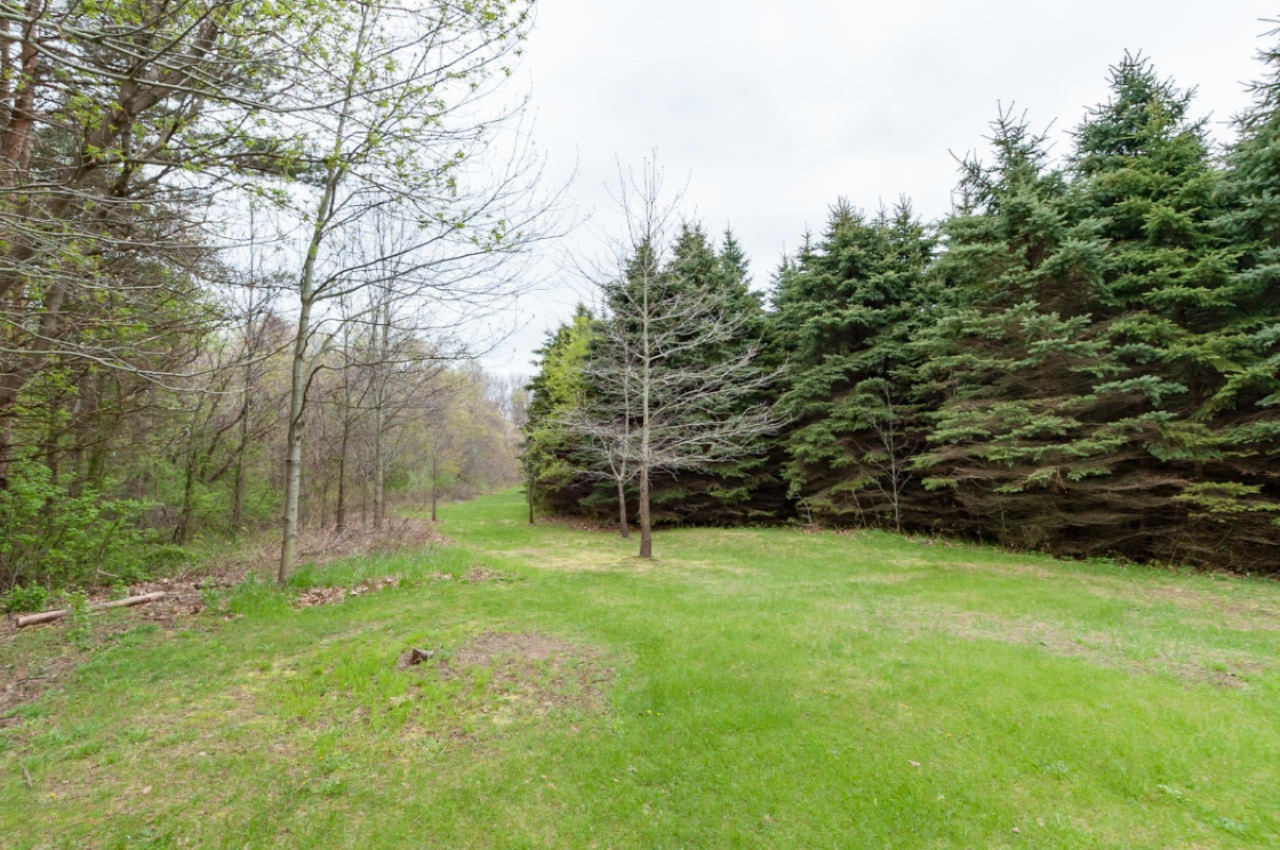 4101 Hagar Shore Road Coloma, MI 49038 - Photo 43 of 48 4101 Hagar Shores Coloma-33
